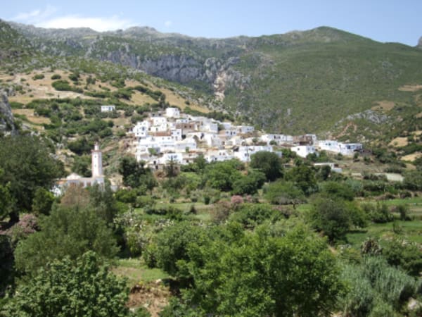 Tanger, Chefchaouen Tour - 4