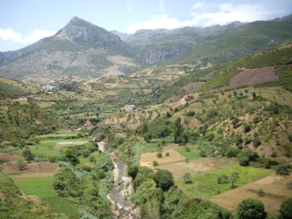 Tanger, Chefchaouen Tour - 3