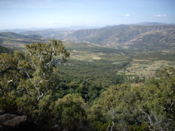 Tanger, Chefchaouen Tour - 8