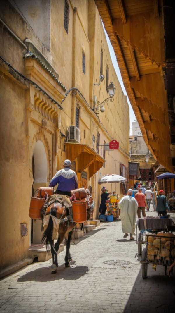 Morocco Meanderings : High Atlas, Sahara, Imperial Cities - 1