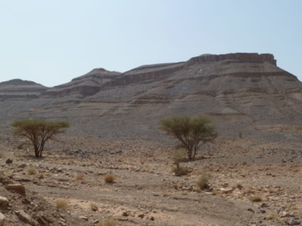 Morocco Meanderings : High Atlas, Sahara, Imperial Cities - 13
