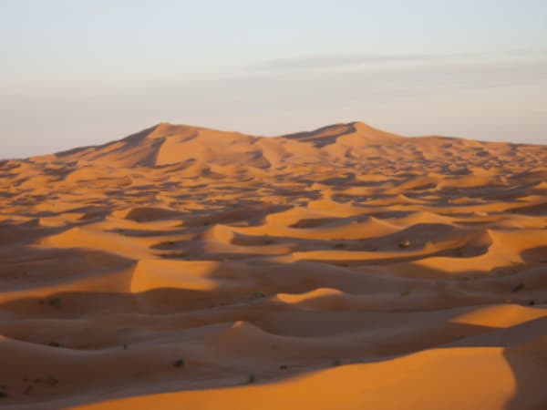 Morocco Meanderings : High Atlas, Sahara, Imperial Cities - 14