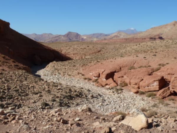 Morocco Meanderings : High Atlas, Sahara, Imperial Cities - 16