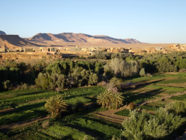 Morocco Meanderings : High Atlas, Sahara, Imperial Cities - 19