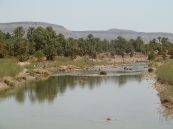 Morocco Meanderings : High Atlas, Sahara, Imperial Cities - 4