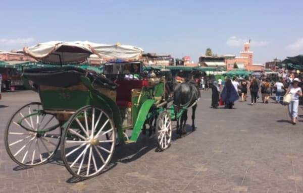 Marrakech, High Atlas & Sahara - 27