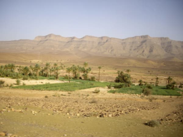 Marrakech, High Atlas & Sahara - 13