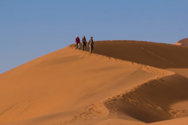 9 Day Canyons, Dunes & Wildlife Lodge & Camping Safari - 1