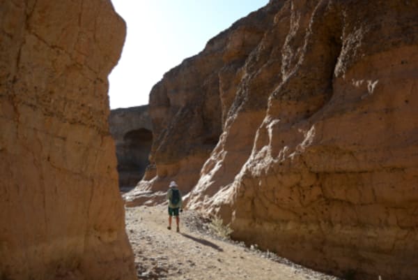 9 Day Canyons, Dunes & Wildlife Lodge & Camping Safari - 6