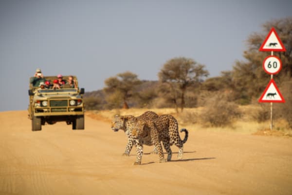 12 Day Classic Namibia Camping - 1