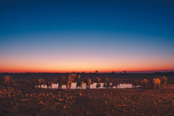 12 Day Classic Namibia Camping - 3