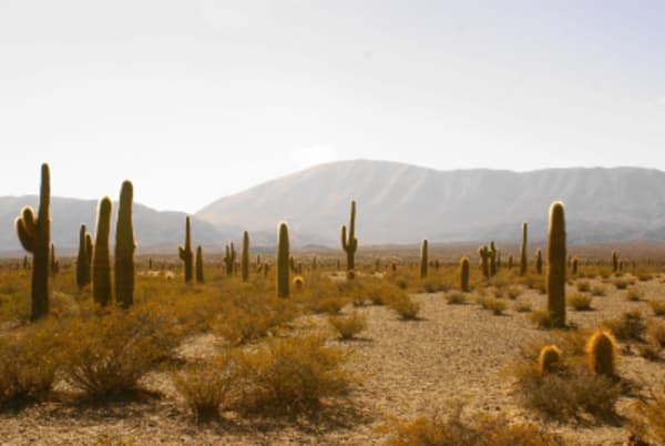 Northwest of Argentina - Rural tourism & Bike adventure - 12