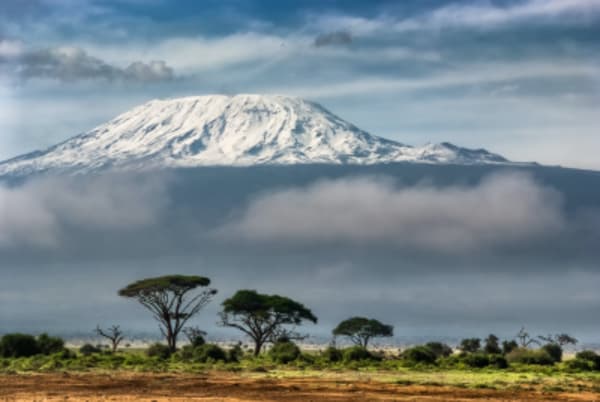 Amboseli National Park - Lake Nakuru National Park - Maasai Mara Game Reserve - 1