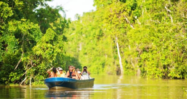 Wildlife Trail of Borneo - 1