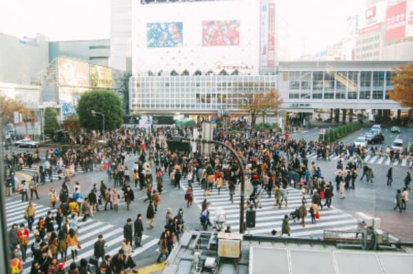 Japan Culinary and Culture Highlights - 1