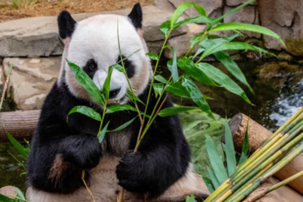 Scenic South China Adventure with Zhangjiajie - 1