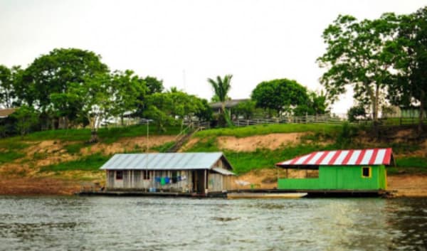 Aventura en la selva amazónica de Manaus, 5 días y 4 noches - 4