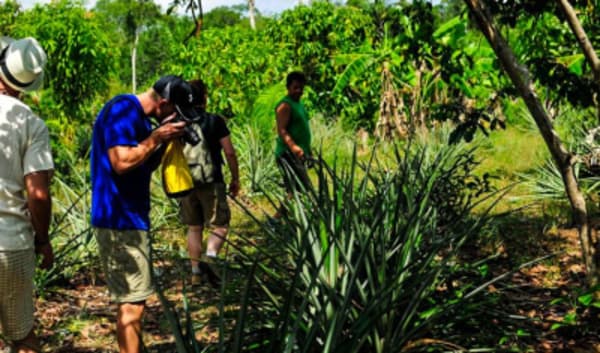Manaus Amazon Jungle Adventure 5D/4N - 9