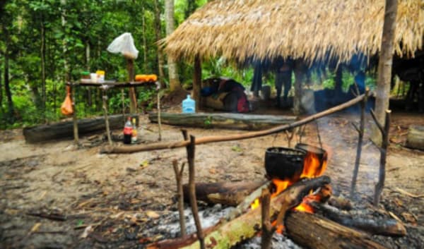Manaus Amazon Jungle Adventure 5D/4N - 12