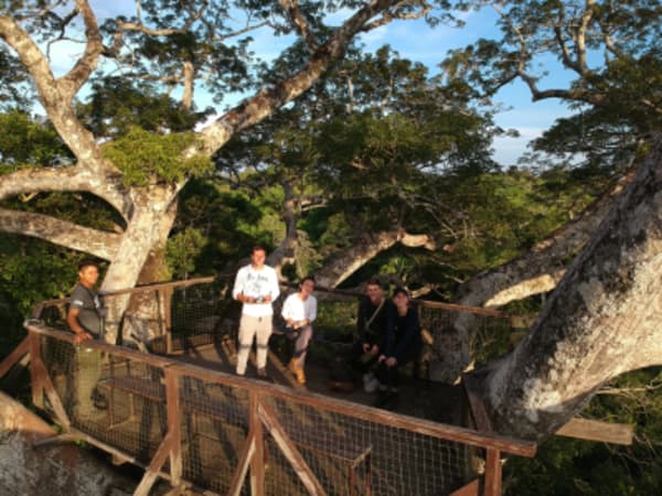 Puerto Maldonado Amazon Eco-Lodge 5D/4N (from Cuzco) - 2