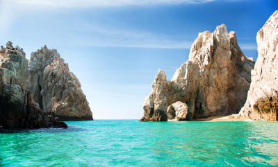 Baja's Whale Wonders & La Paz Escapades 6D/5N - 3