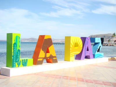 Baja's Ocean Giants: From La Paz to Los Cabos Quest 7D/6N - 8