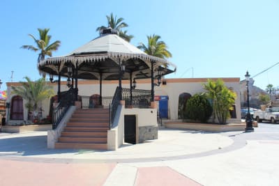 Baja's Ocean Giants: From La Paz to Los Cabos Quest 7D/6N - 14
