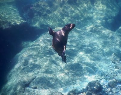 Baja's Cultural Odyssey & La Paz Seashore Elegance 6D/5N - 19
