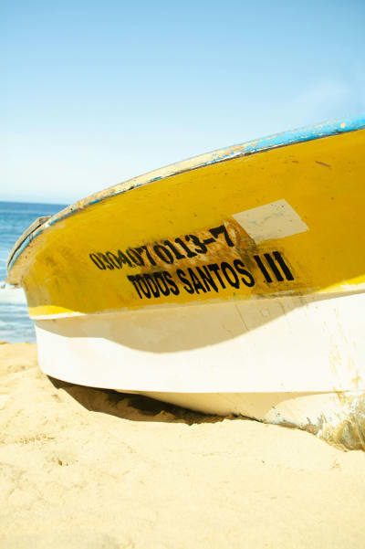 Baja's Cultural Odyssey & La Paz Seashore Elegance 6D/5N - 24