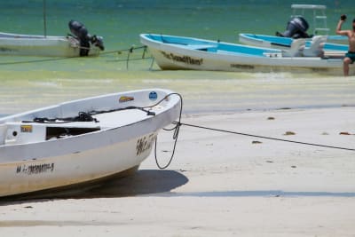 Baja's Cultural Odyssey & La Paz Seashore Elegance 6D/5N - 4