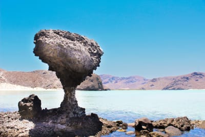Baja Beach Bliss & Cultural Insights: La Paz & Cabo 6D/5N - 5