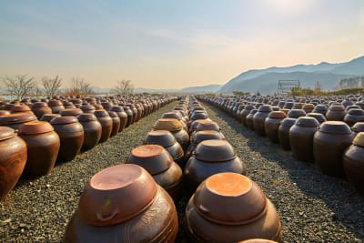 South Korea Golden Route 8D/7N - 20
