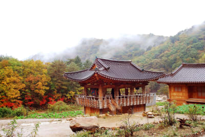 South Korea Golden Route 8D/7N - 30