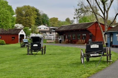 Niagara Falls, 1000 Islands, Washington DC, Philadelphia & Amish Country 5D/4N (from New York) - 6