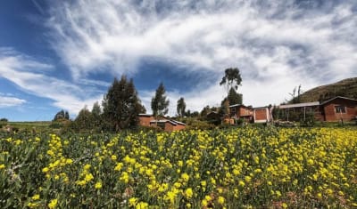 Alojamiento en casa de familia en el lago Titicaca y Luquina (2 días y 1 noche) - 26