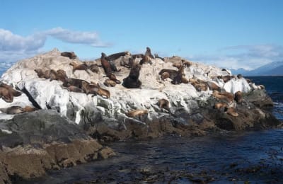 Torres del Paine and Ushuaia Adventure 9D/8N - 40