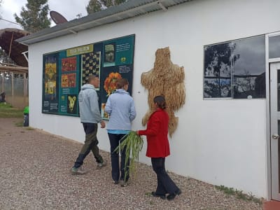 El City Tour Único: Camino Inca, Alpacas y Ruinas - 8