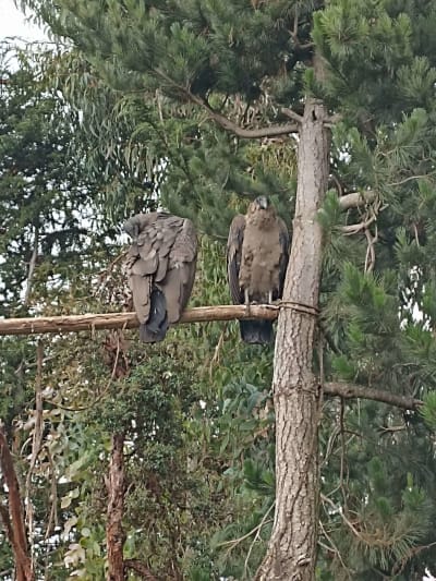El City Tour Único: Camino Inca, Alpacas y Ruinas - 17