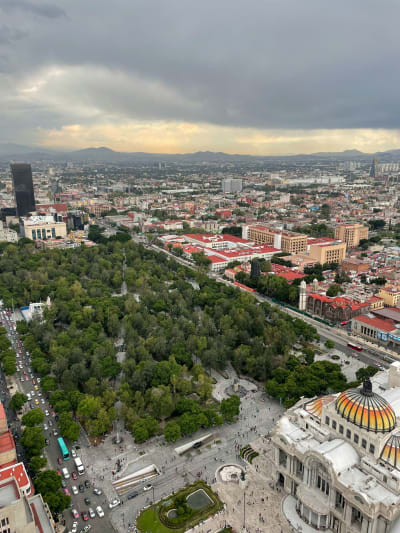 Bienvenidos a la Ciudad de México 3D/2N - 31