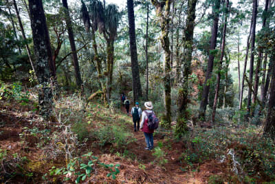 Oaxacan Mountain Metamorphosis Hike 2D/1N - 46