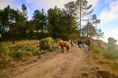 La Encantadora Sierra Norte Trek 3D/2N - 5