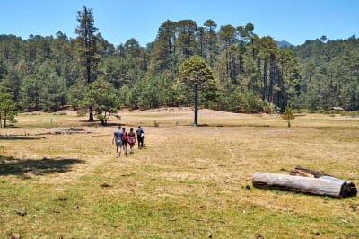 La Encantadora Sierra Norte Trek 3D/2N - 12