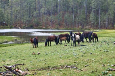 La Encantadora Sierra Norte Trek 3D/2N - 32