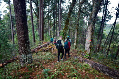 La Encantadora Sierra Norte Trek 3D/2N - 61
