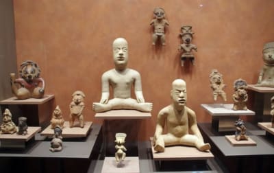 Anthropology Museum with the Best Guide - 5