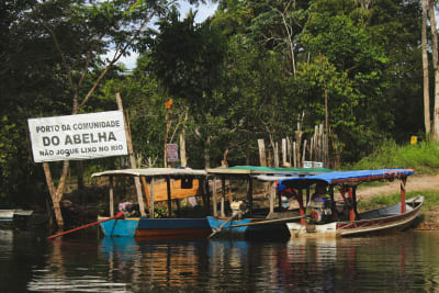 Aventura en la selva amazónica de Manaus, 4 días y 3 noches - 2