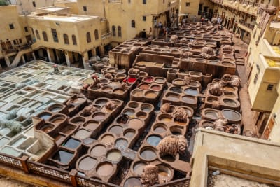 Morocco Honeymoon Journey: Marrakech, Sahara, Chefchaouen - 25
