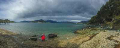 Ushuaia Adventure: Patagonia Nature & Beagle Channel - 7