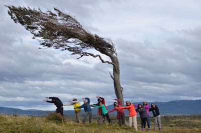Ushuaia Adventure: Patagonia Nature & Beagle Channel - 4