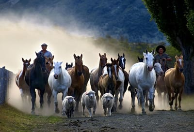 Patagonia Family Adventure: Gaucho Life and Glacier Magic - 13